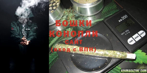 PSILOCYBIN Балабаново