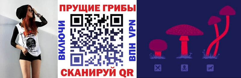 Галлюциногенные грибы мухоморы  где можно купить   Томилино 
